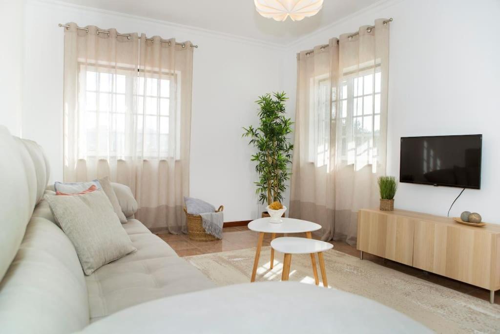 Entrevillas Alojamento Local, Apartamento T2 阿尔库什迪瓦尔德维什 外观 照片