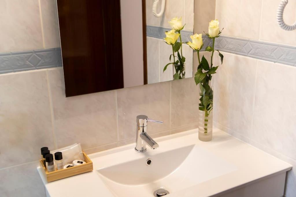 Entrevillas Alojamento Local, Apartamento T2 阿尔库什迪瓦尔德维什 外观 照片